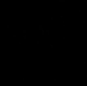 Meet your Posher, Shayla